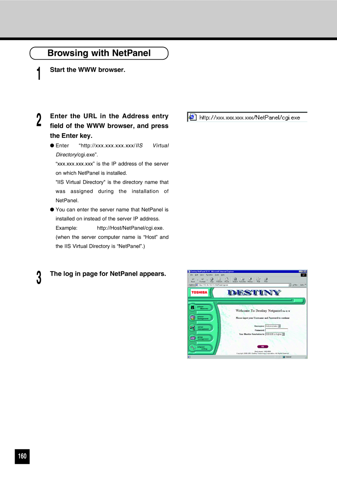 Toshiba GA-1031 manual Browsing with NetPanel, 160 