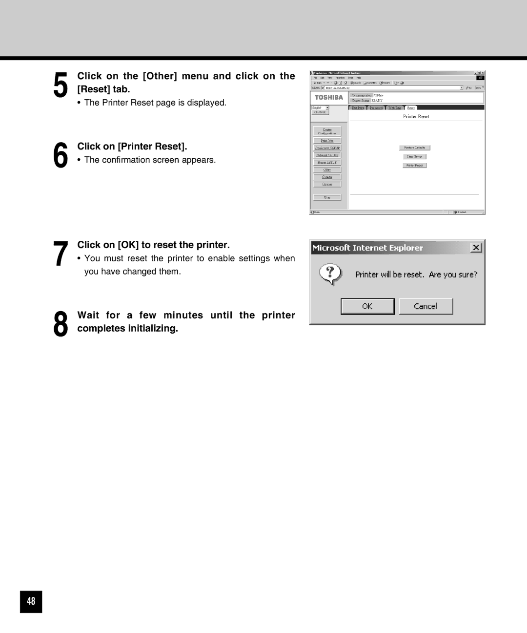 Toshiba GA-1040 manual Click on the Other menu and click on the Reset tab, Click on OK to reset the printer 