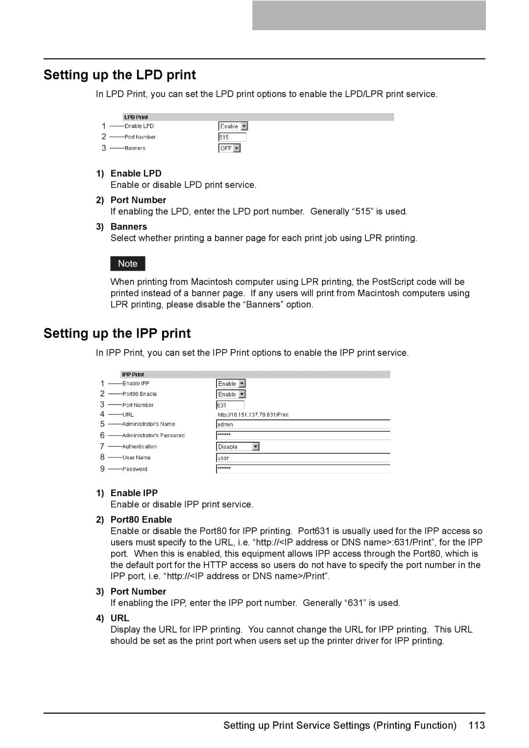 Toshiba GA-1190 setup guide Setting up the LPD print, Setting up the IPP print 