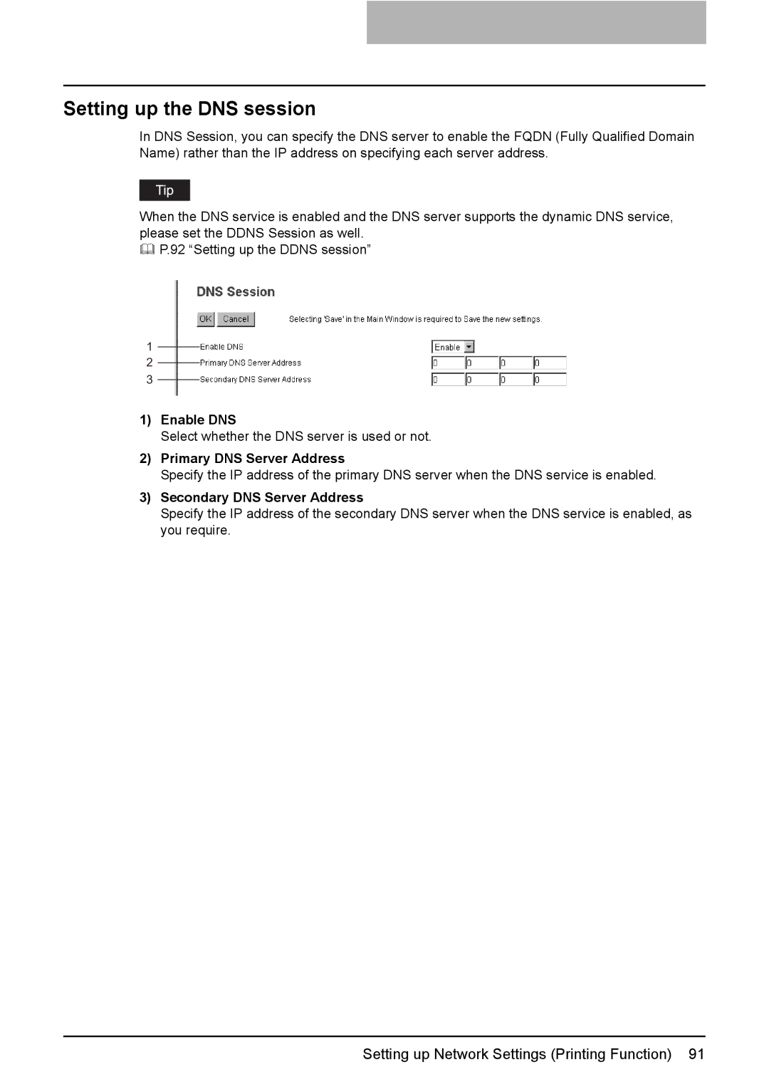 Toshiba GA-1190 Setting up the DNS session, Enable DNS, Primary DNS Server Address, Secondary DNS Server Address 