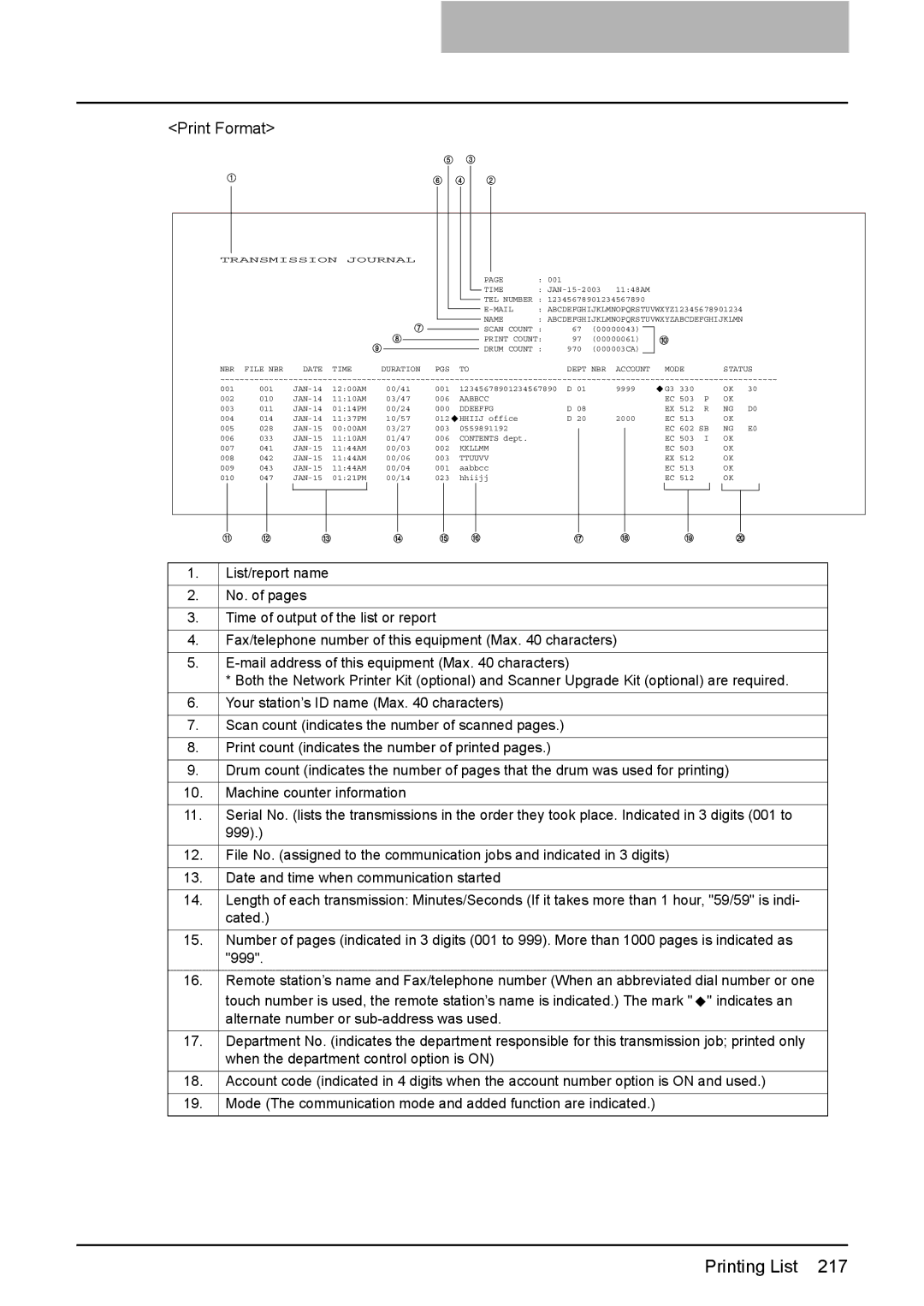 Toshiba GD-1220 manual Print Format 