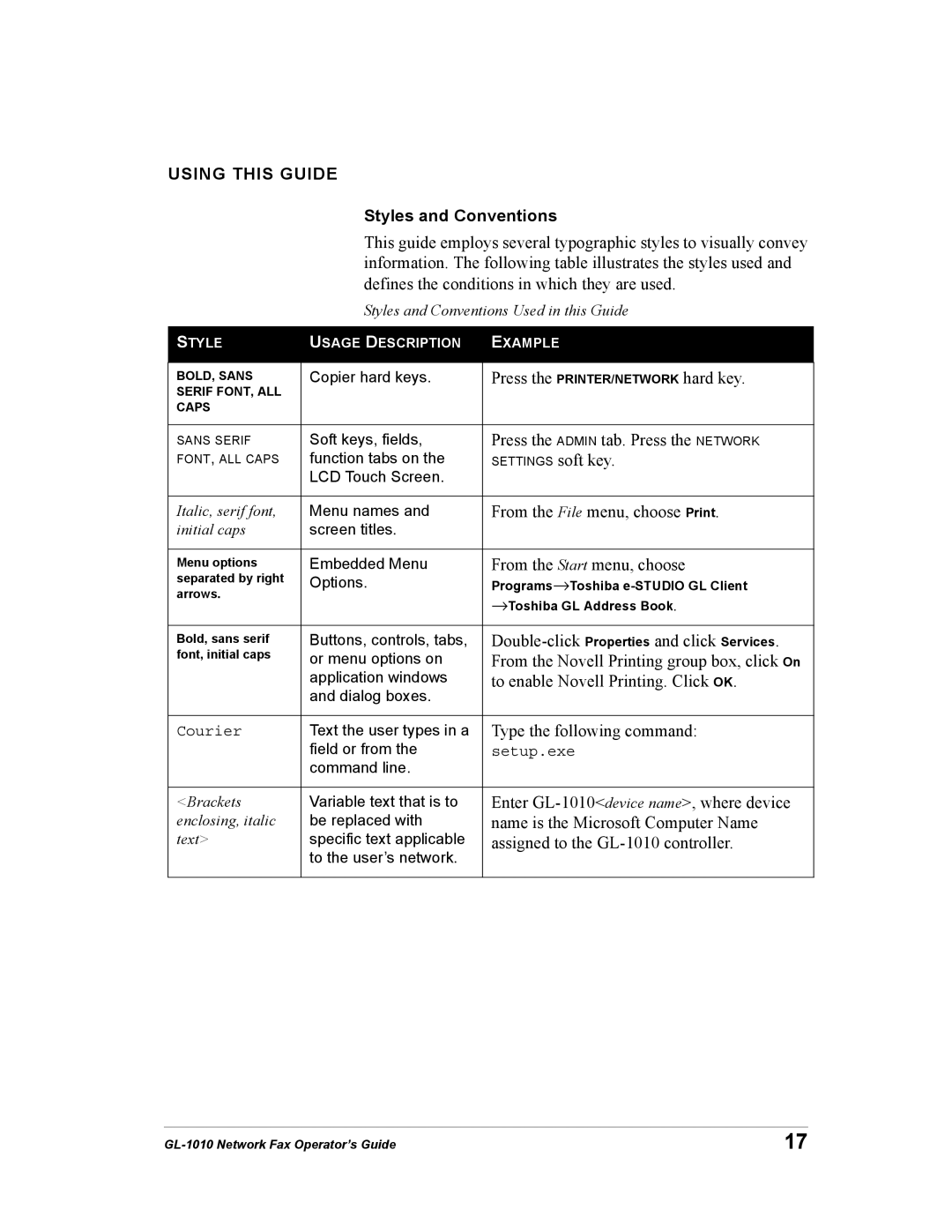 Toshiba GL-1010 manual Using this Guide, Styles and Conventions 