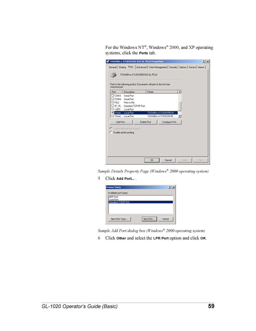 Toshiba GL-1020 manual Click Other and select the LPR Port option and click OK 