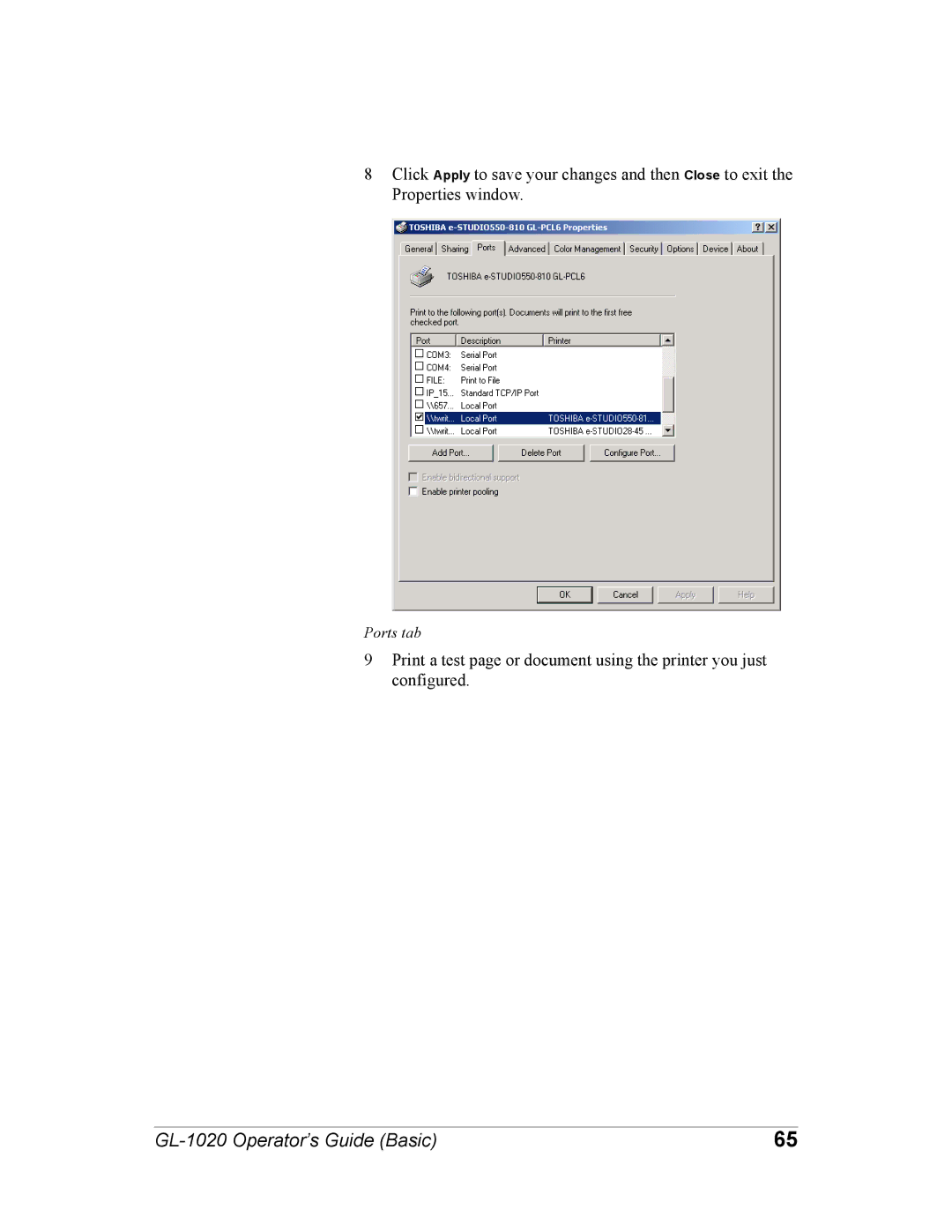 Toshiba GL-1020 manual Ports tab 