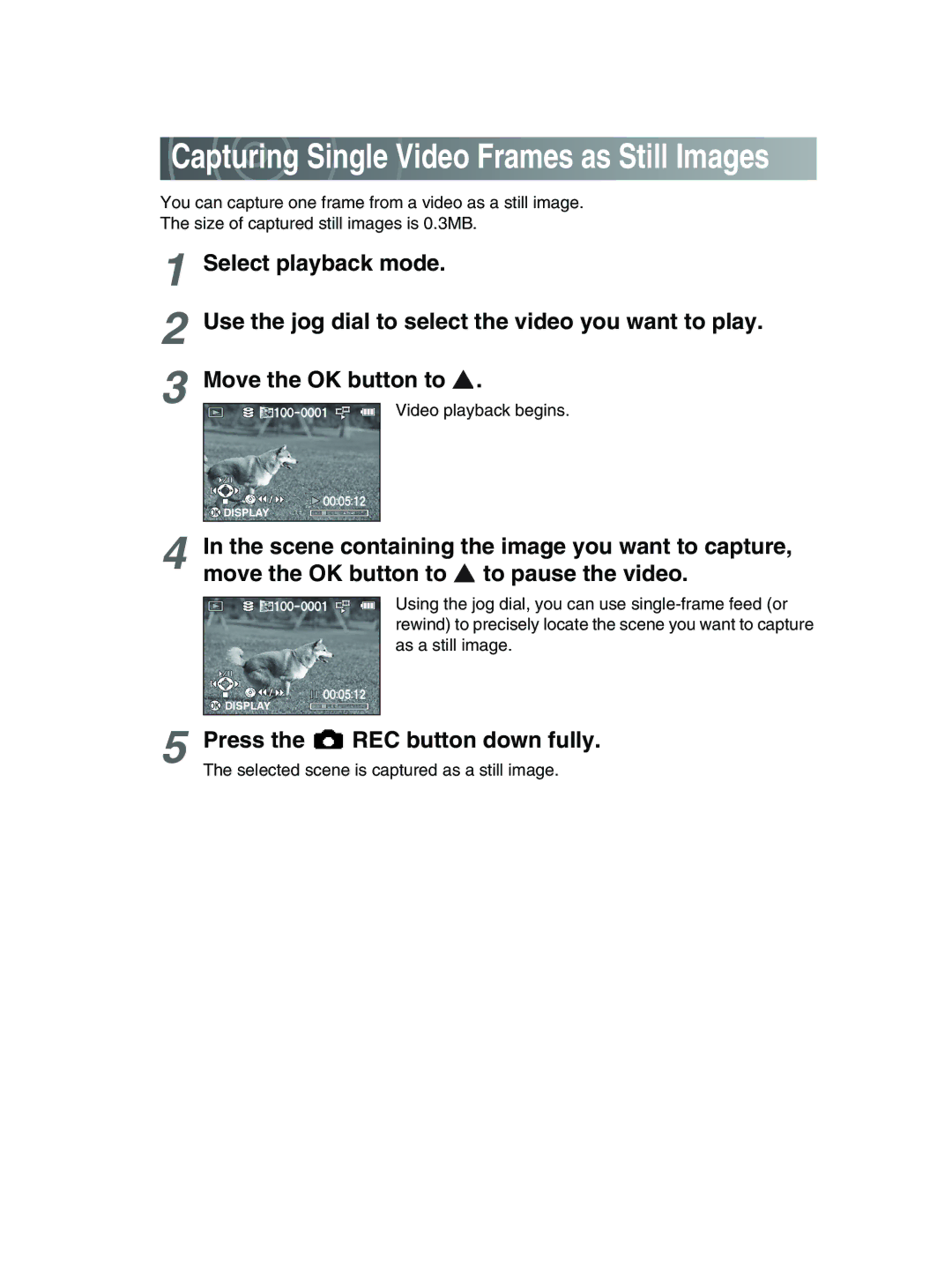 Toshiba GSC-R30 owner manual Capturing Single Video Frames as Still Images, Press the REC button down fully 