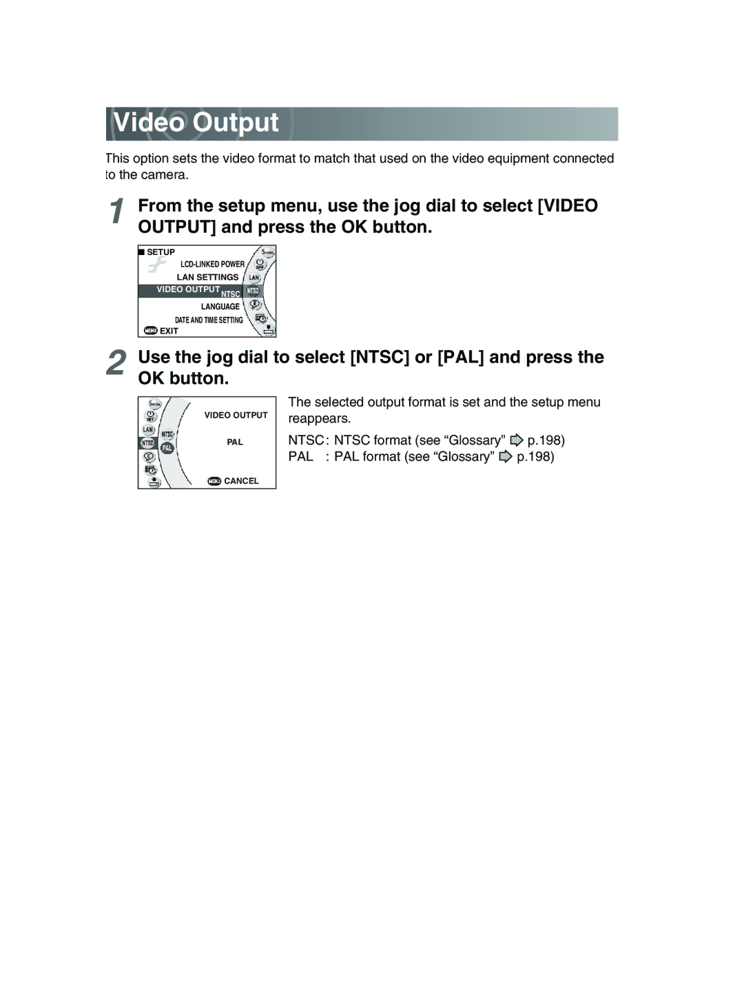 Toshiba GSC-R30 owner manual Video Output 