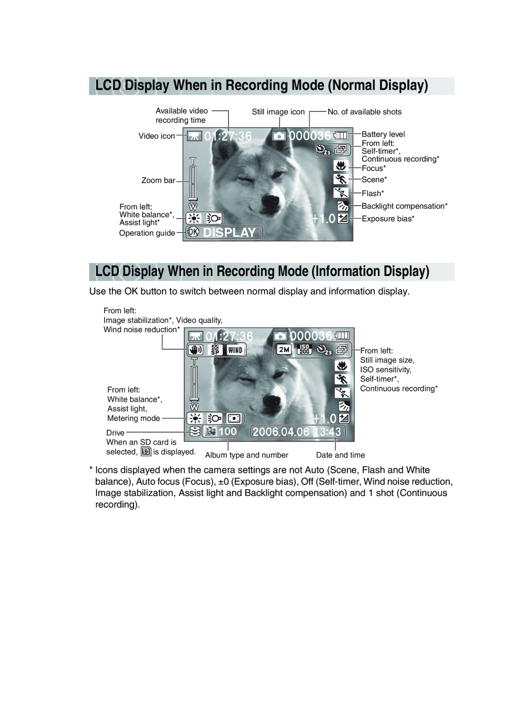 Toshiba GSC-R30 LCD Display When in Recording Mode Normal Display, LCD Display W hen in Recording Mode Information Display 