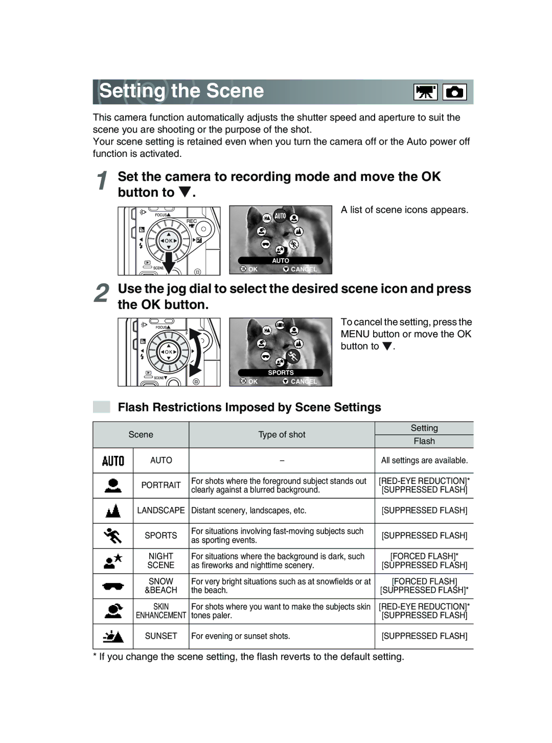 Toshiba GSC-R30 owner manual Setting the Scene, Set the camera to recording mode and move the OK button to 