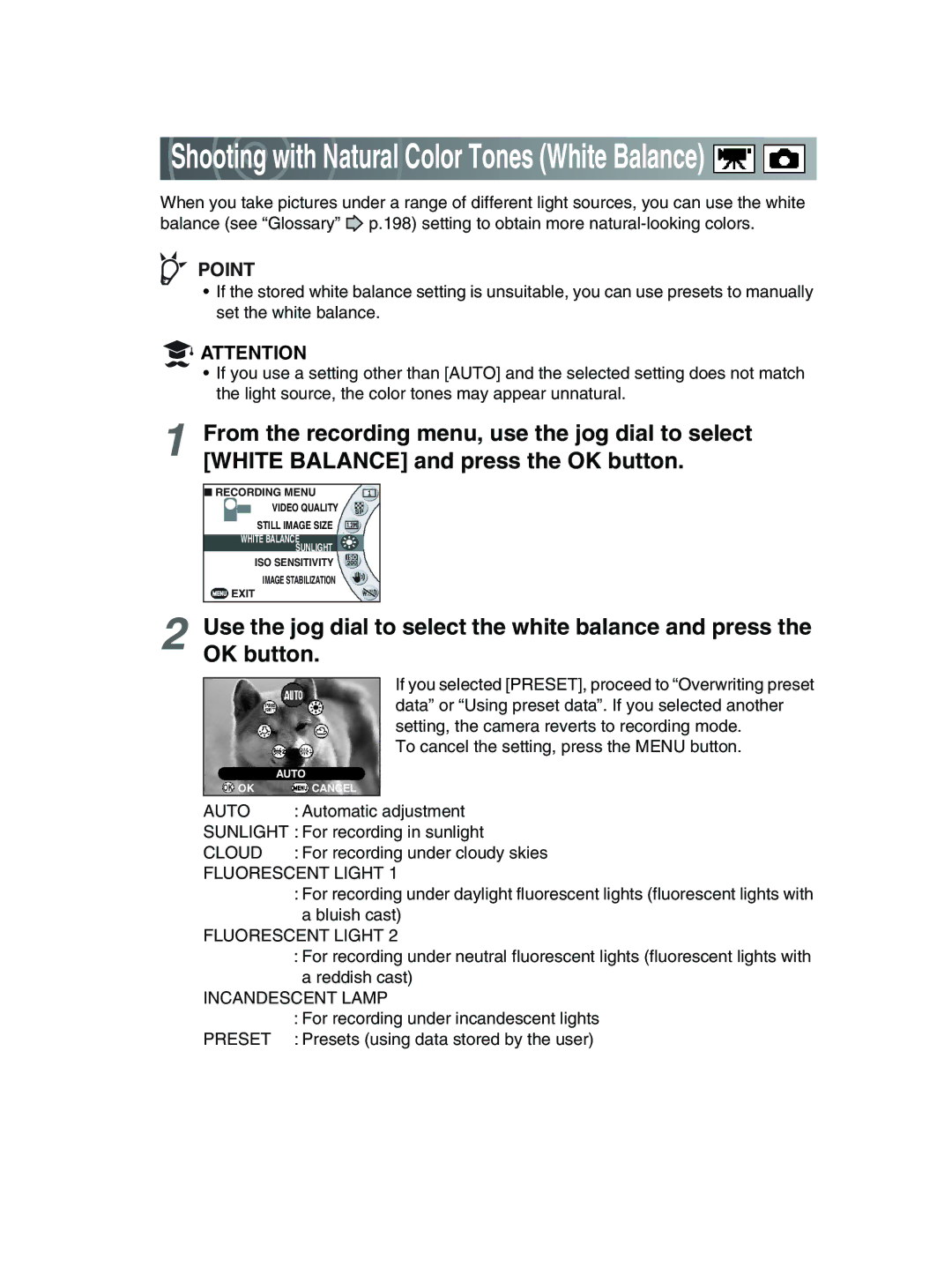 Toshiba GSC-R30 owner manual Auto, Cloud, Fluorescent Light, Incandescent Lamp 