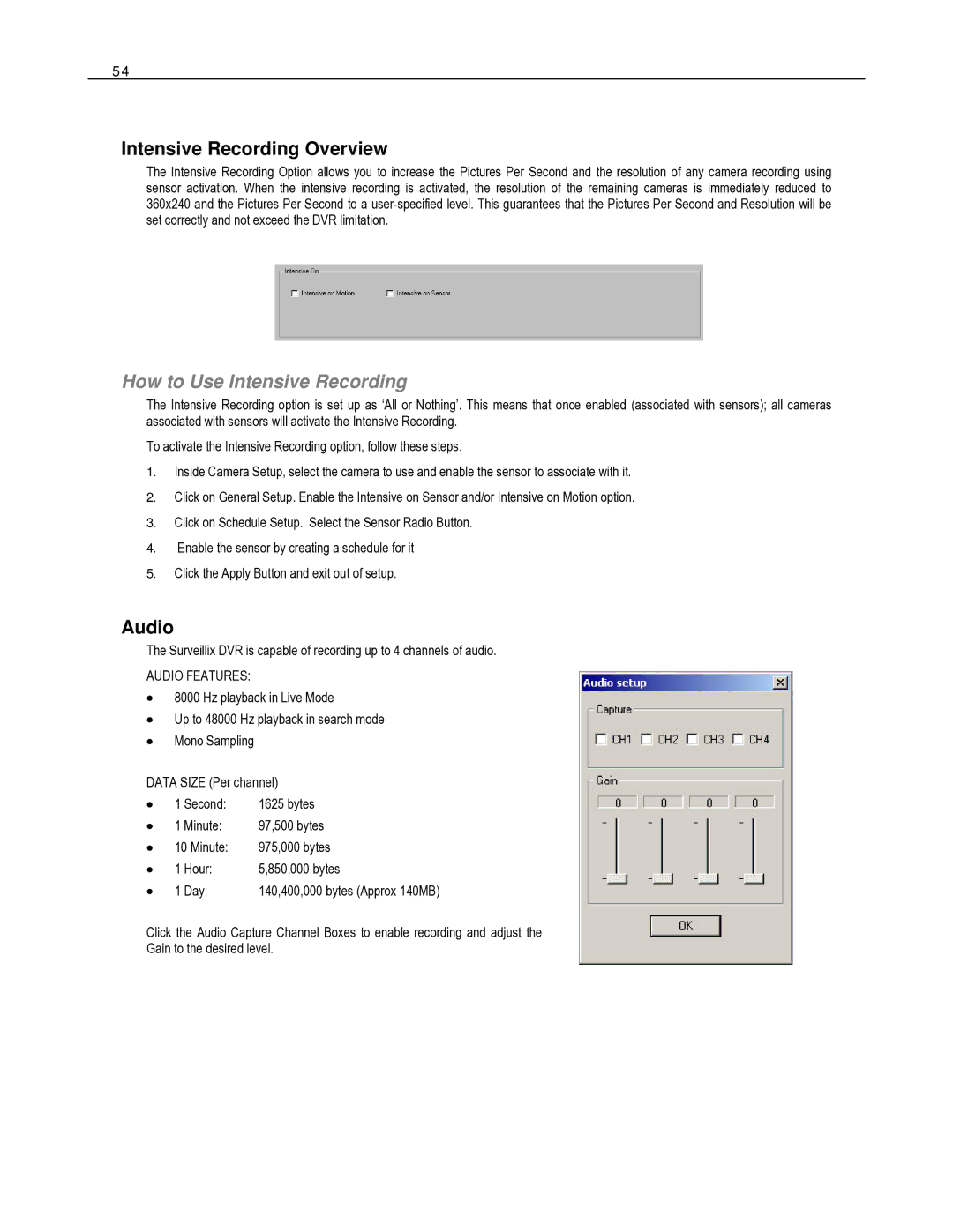 Toshiba HVR32-X, HVR8-X, HVR16-X user manual Intensive Recording Overview, How to Use Intensive Recording, Audio 