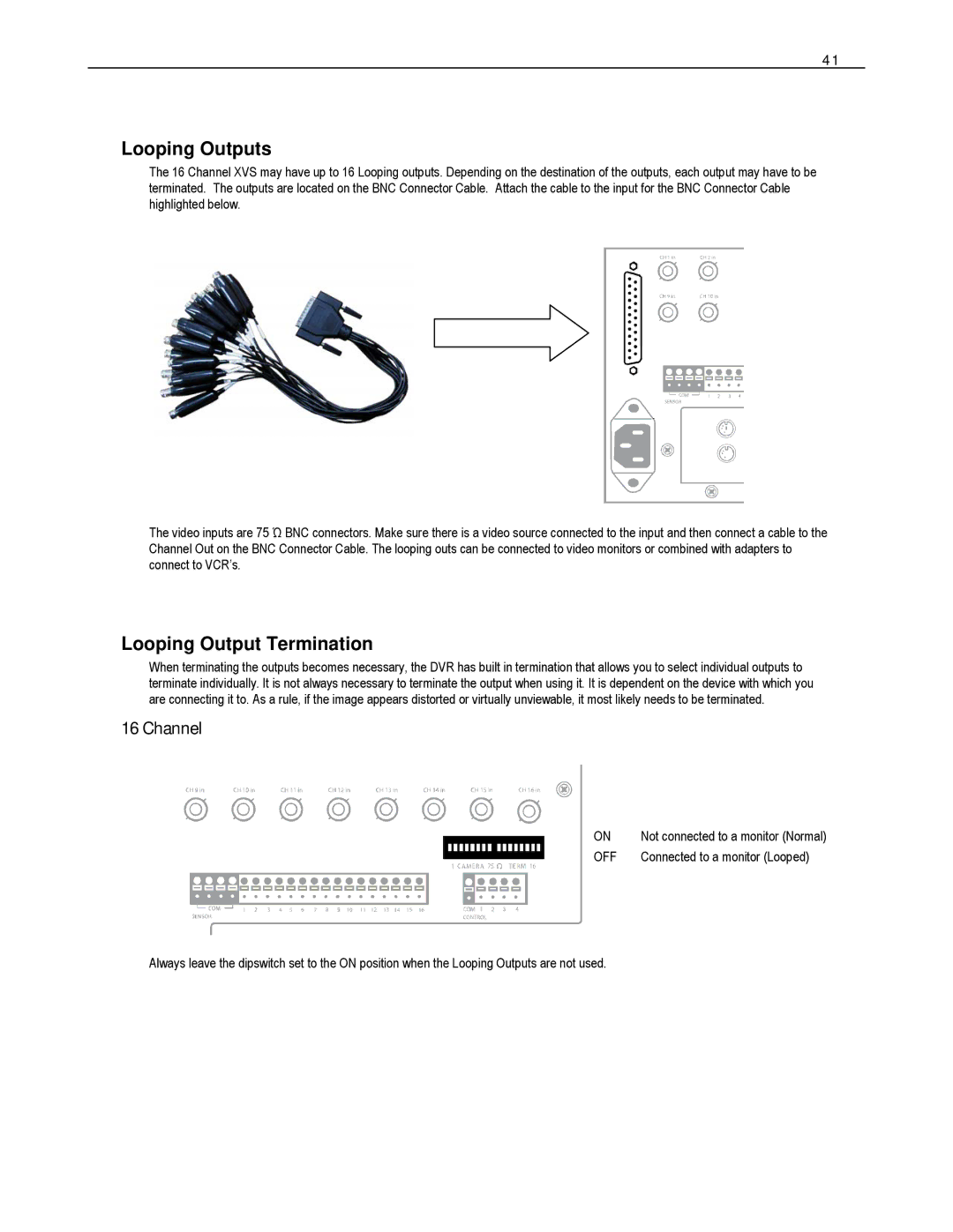 Toshiba DVS16-480-X, HVS32-480-X, XVS4-120-X, XVS16-240-X, XVS16-240V-X Looping Outputs, Looping Output Termination, Channel 