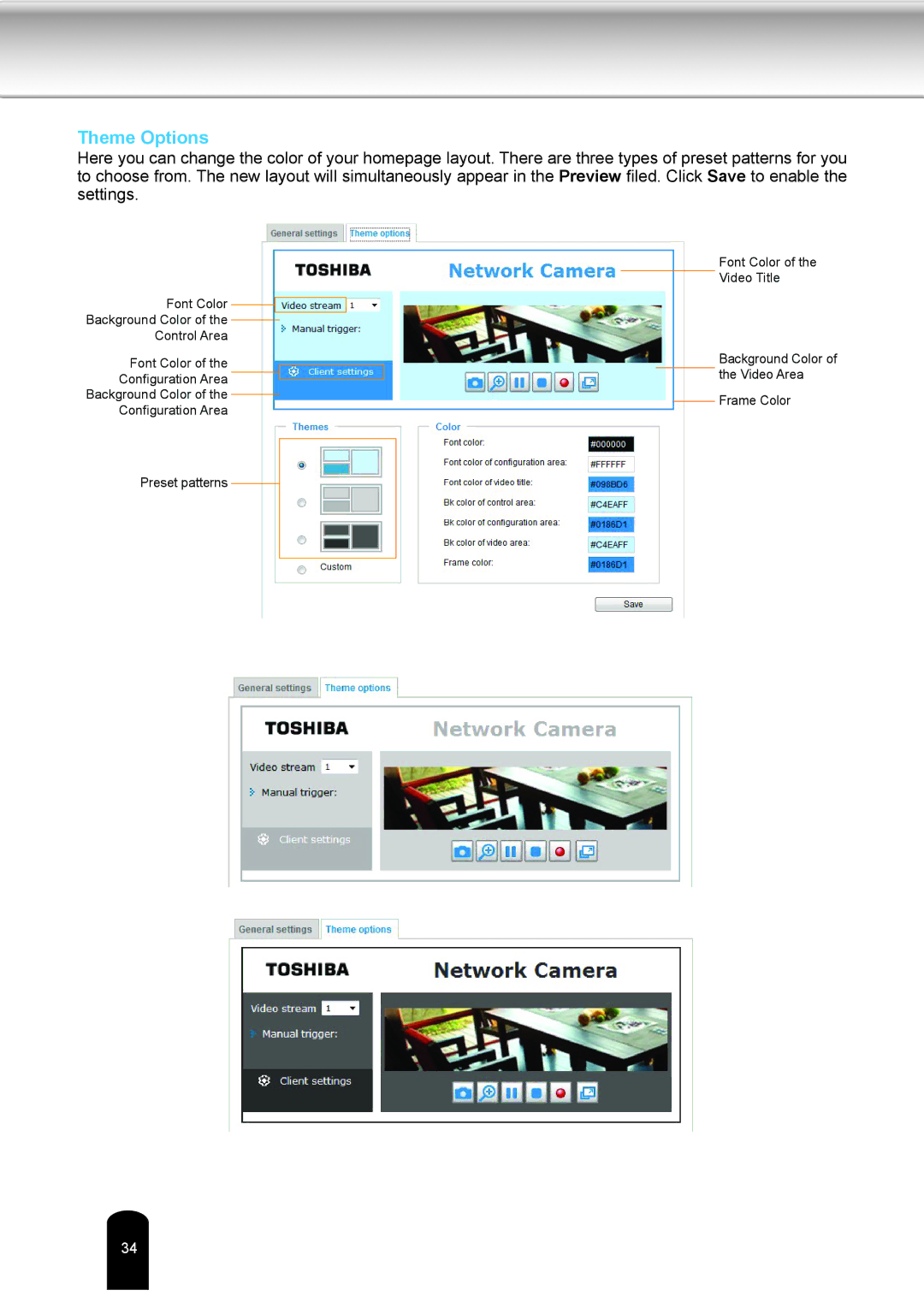 Toshiba IK-WD04A user manual Theme Options 