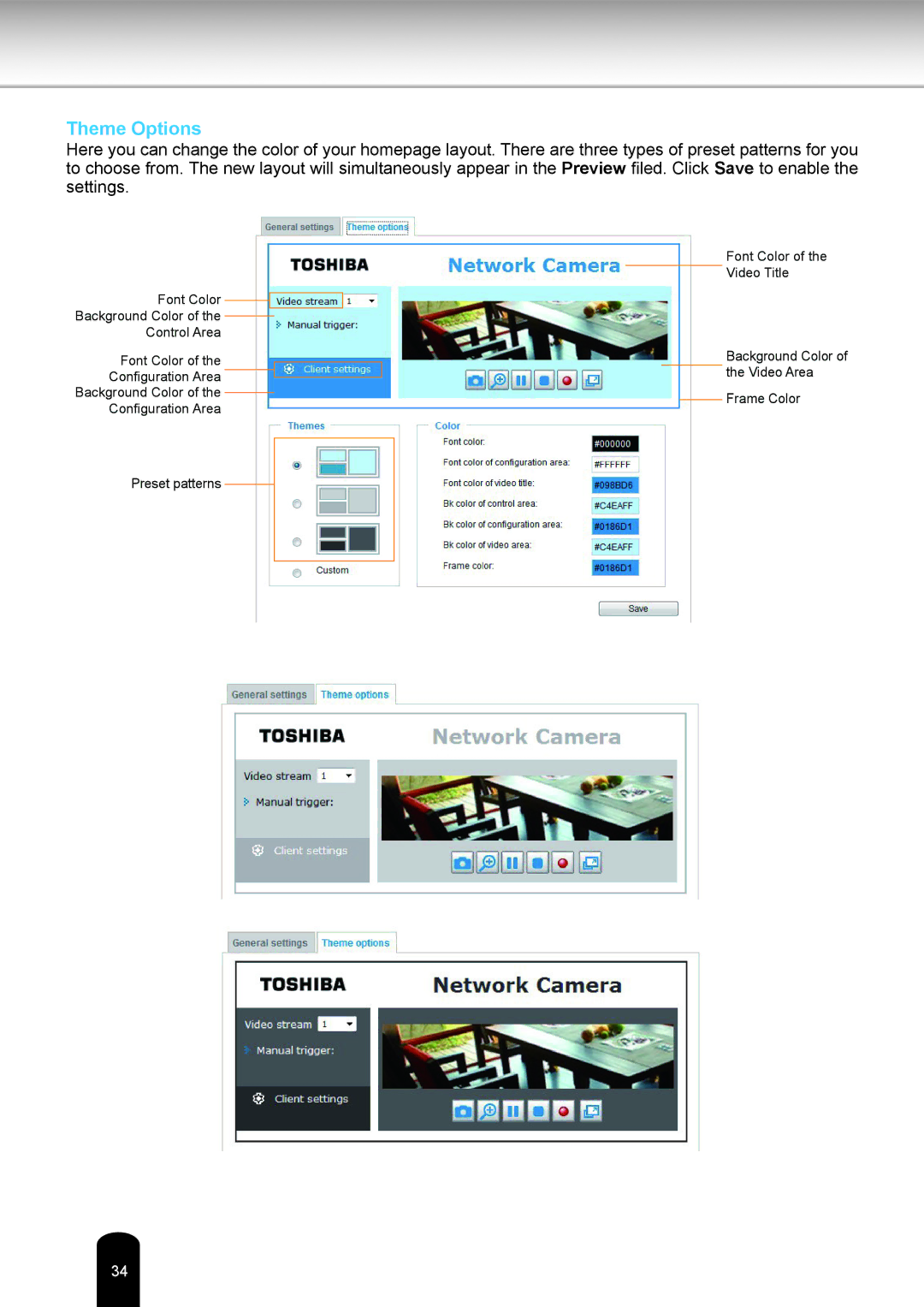 Toshiba IK-WR05A user manual Theme Options 