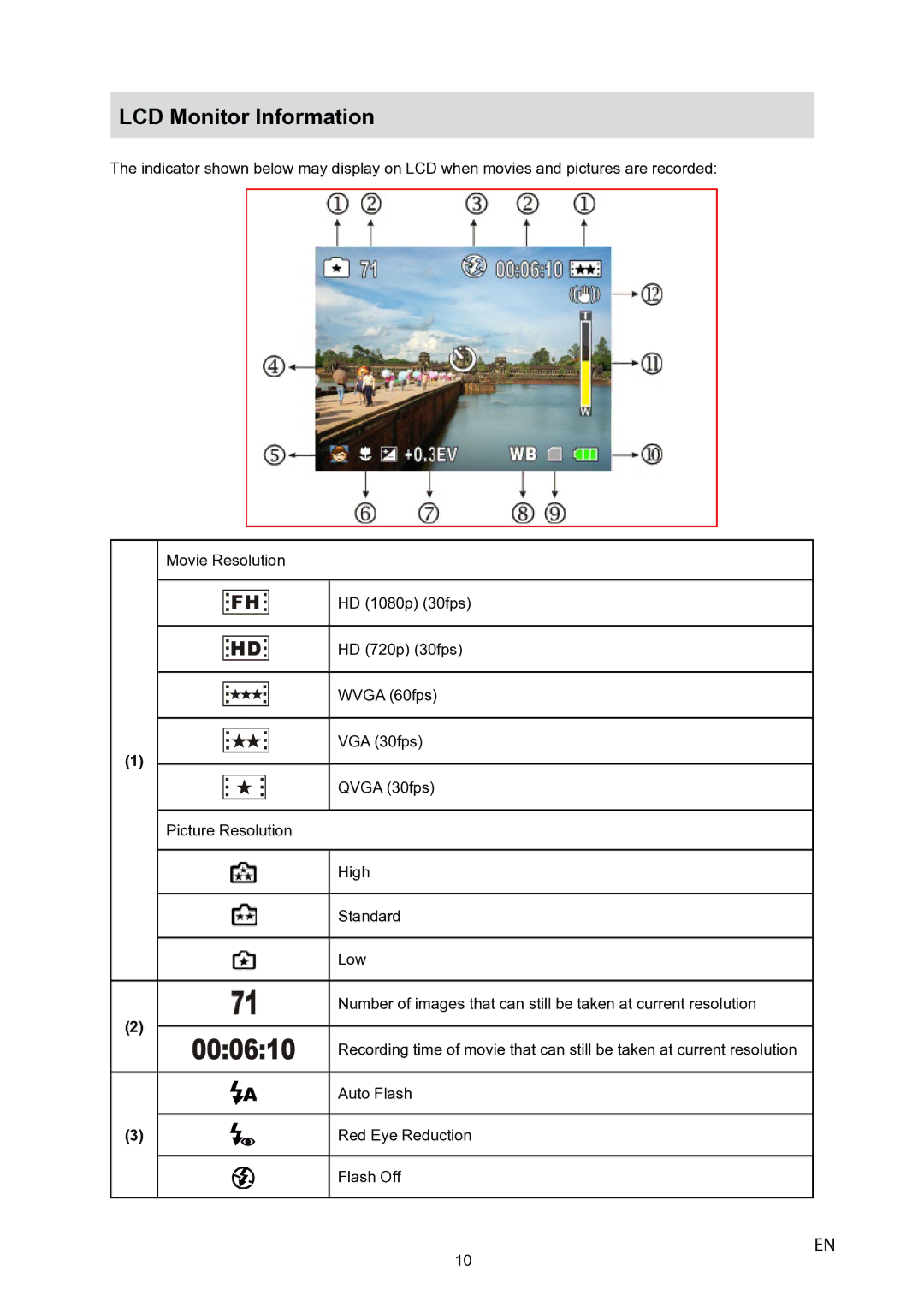 Toshiba P10 user manual LCD Monitor Information 