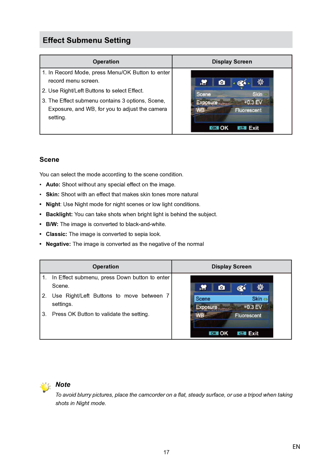 Toshiba P10 user manual Effect Submenu Setting, Scene 