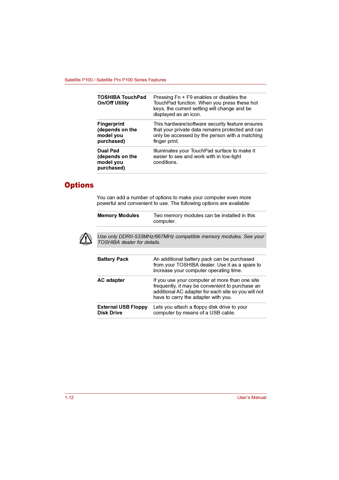 Toshiba P100 user manual Options 