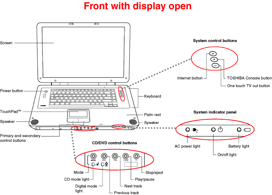 Toshiba P25-S509 dimensions 