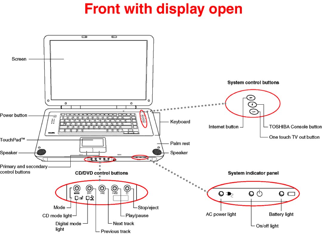 Toshiba P25-S509 dimensions 