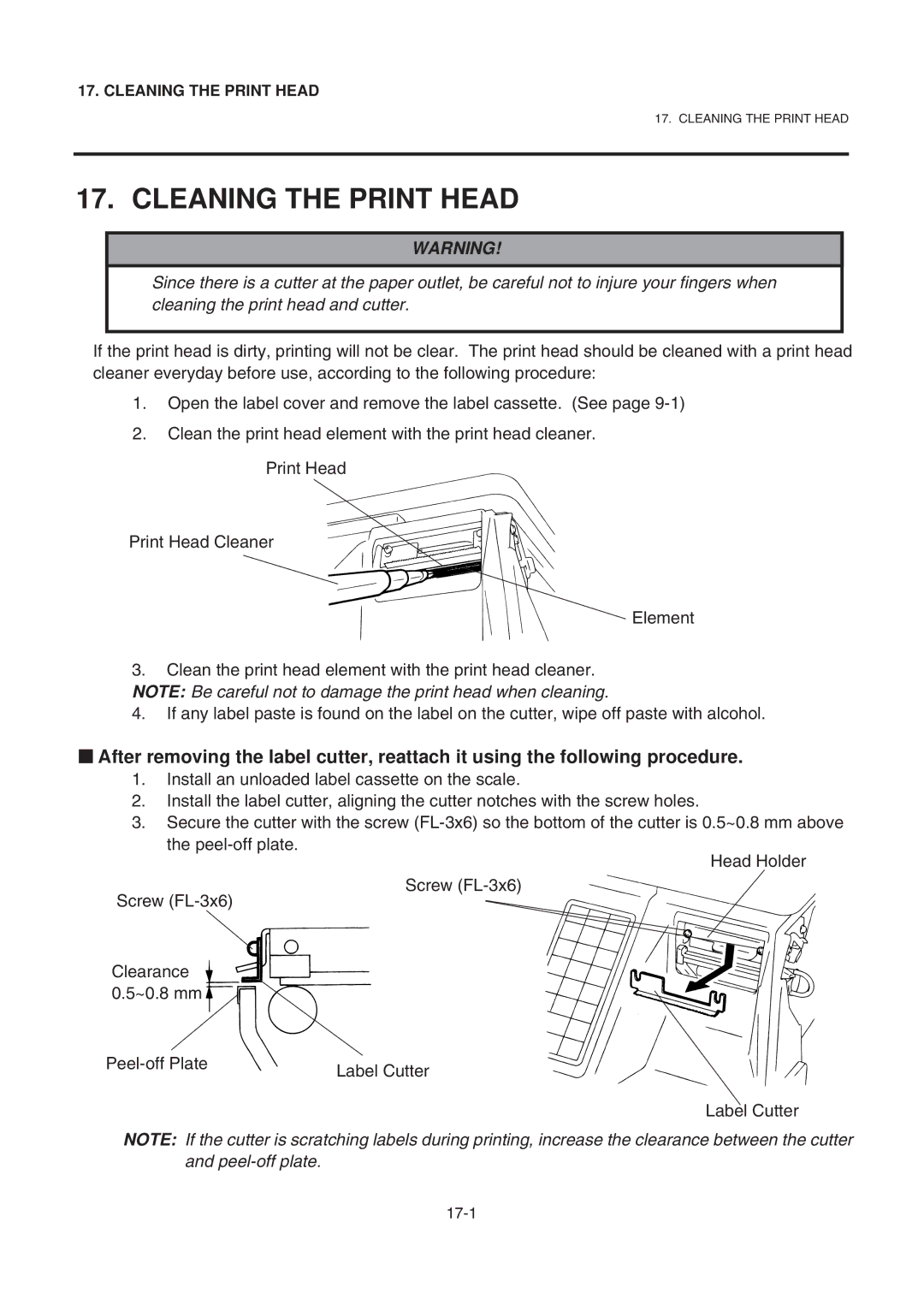 Toshiba SL-9000-LSB owner manual Cleaning the Print Head 