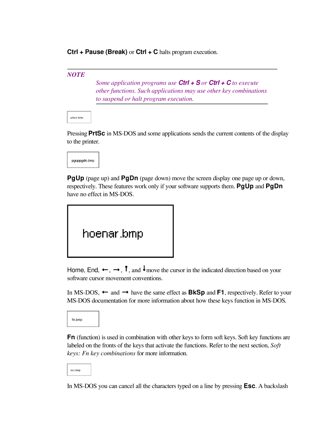 Toshiba T2150CD user manual Ctrl + Pause Break or Ctrl + C halts program execution 