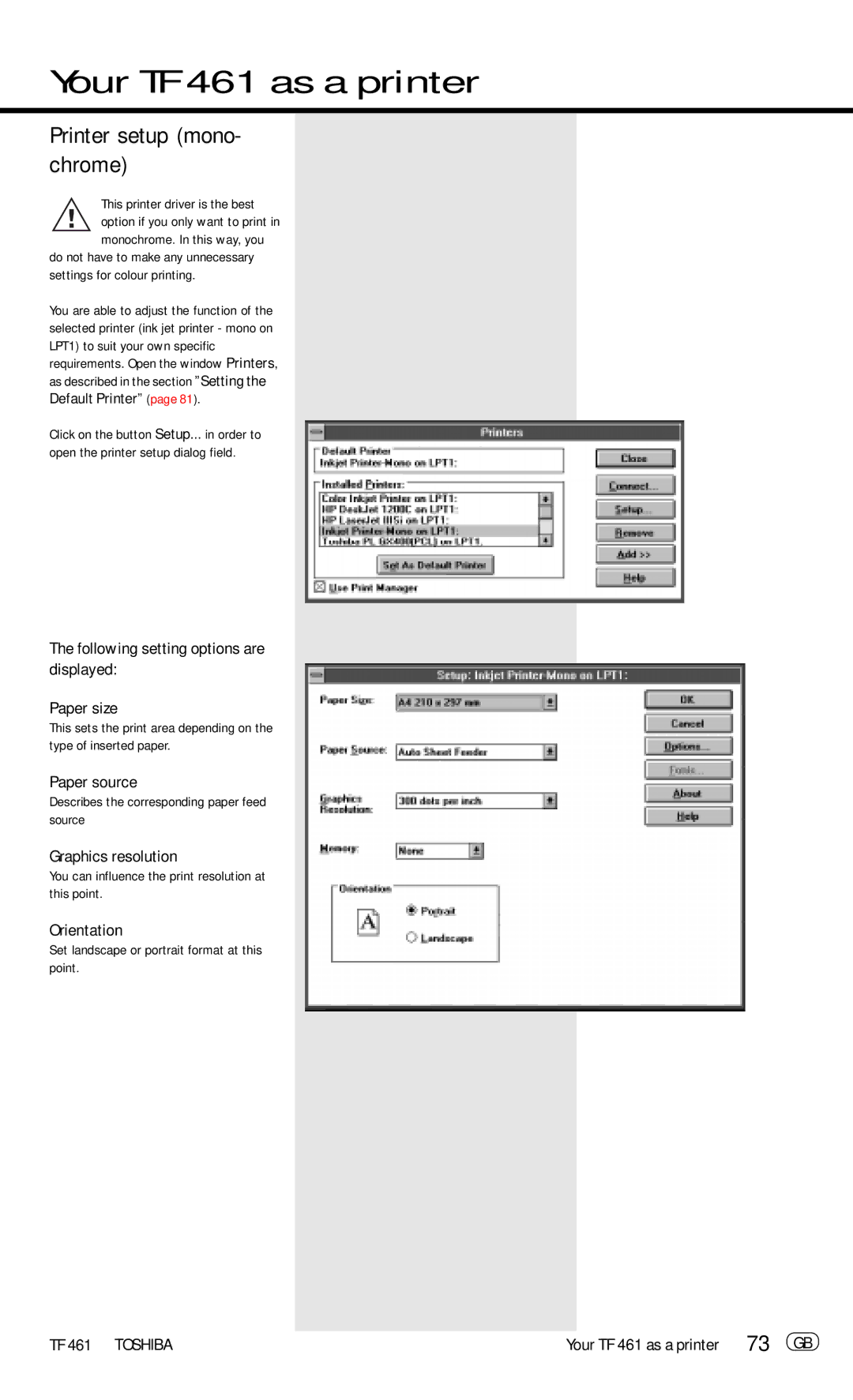 Toshiba TF 461 manual Printer setup mono- chrome, Following setting options are displayed Paper size, Graphics resolution 