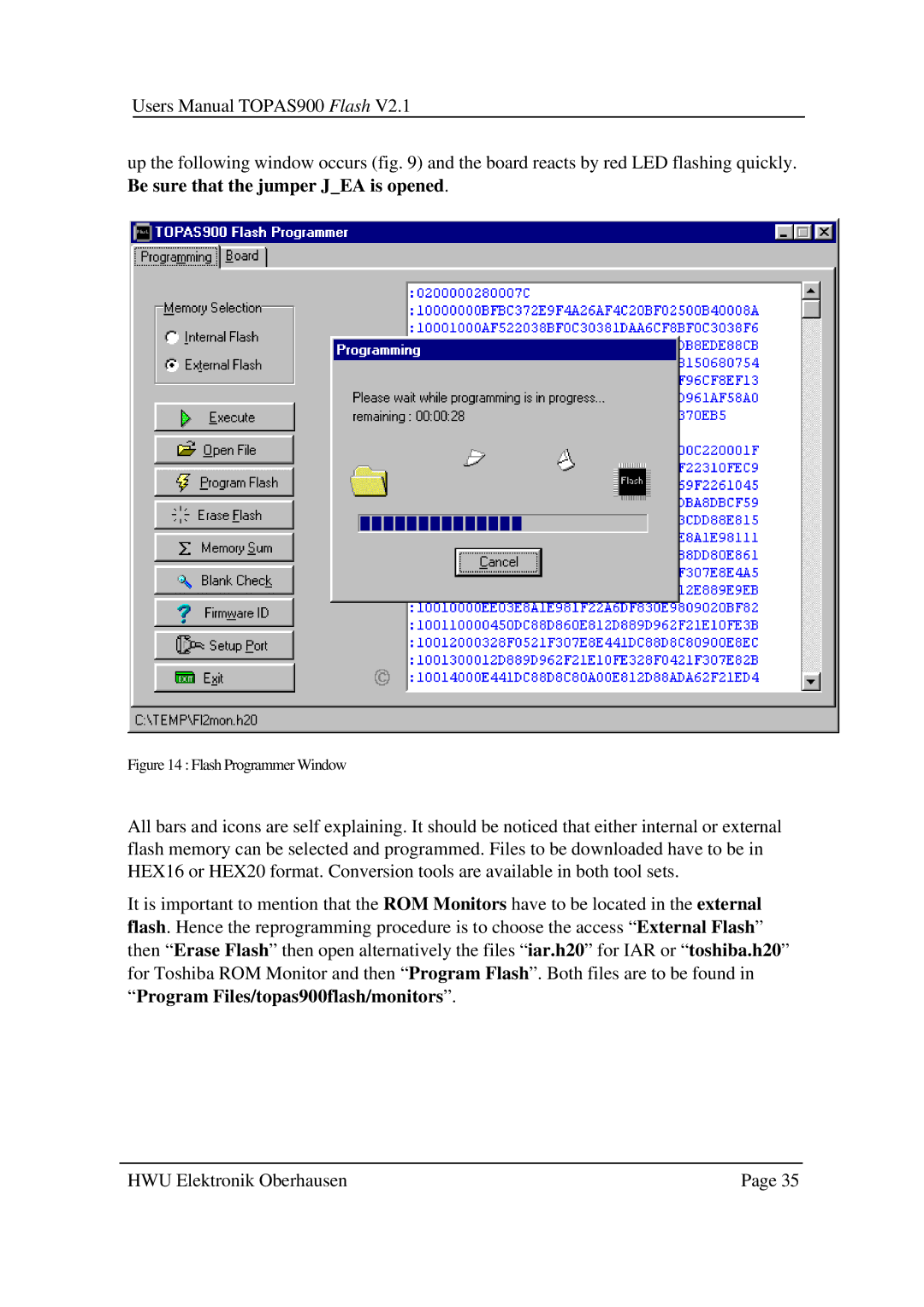 Toshiba TOPAS900 user manual Flash Programmer Window 