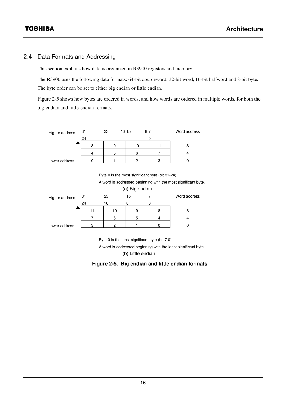 Toshiba TX39 user manual Data Formats and Addressing, Big endian and little endian formats 