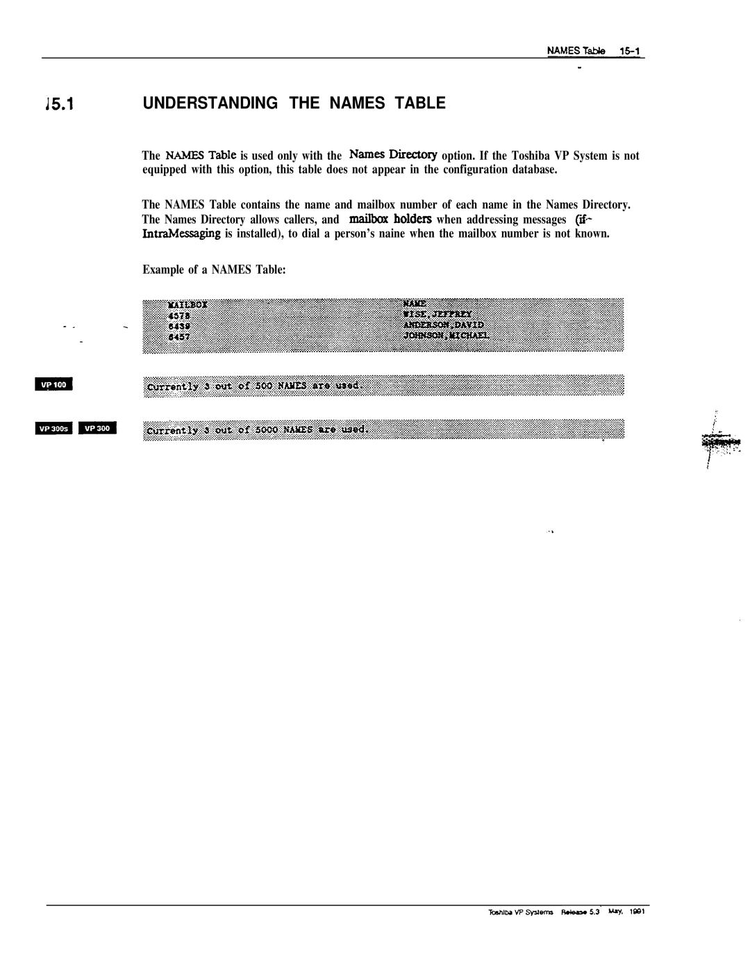 Toshiba VP 300S manual Understanding the Names Table 