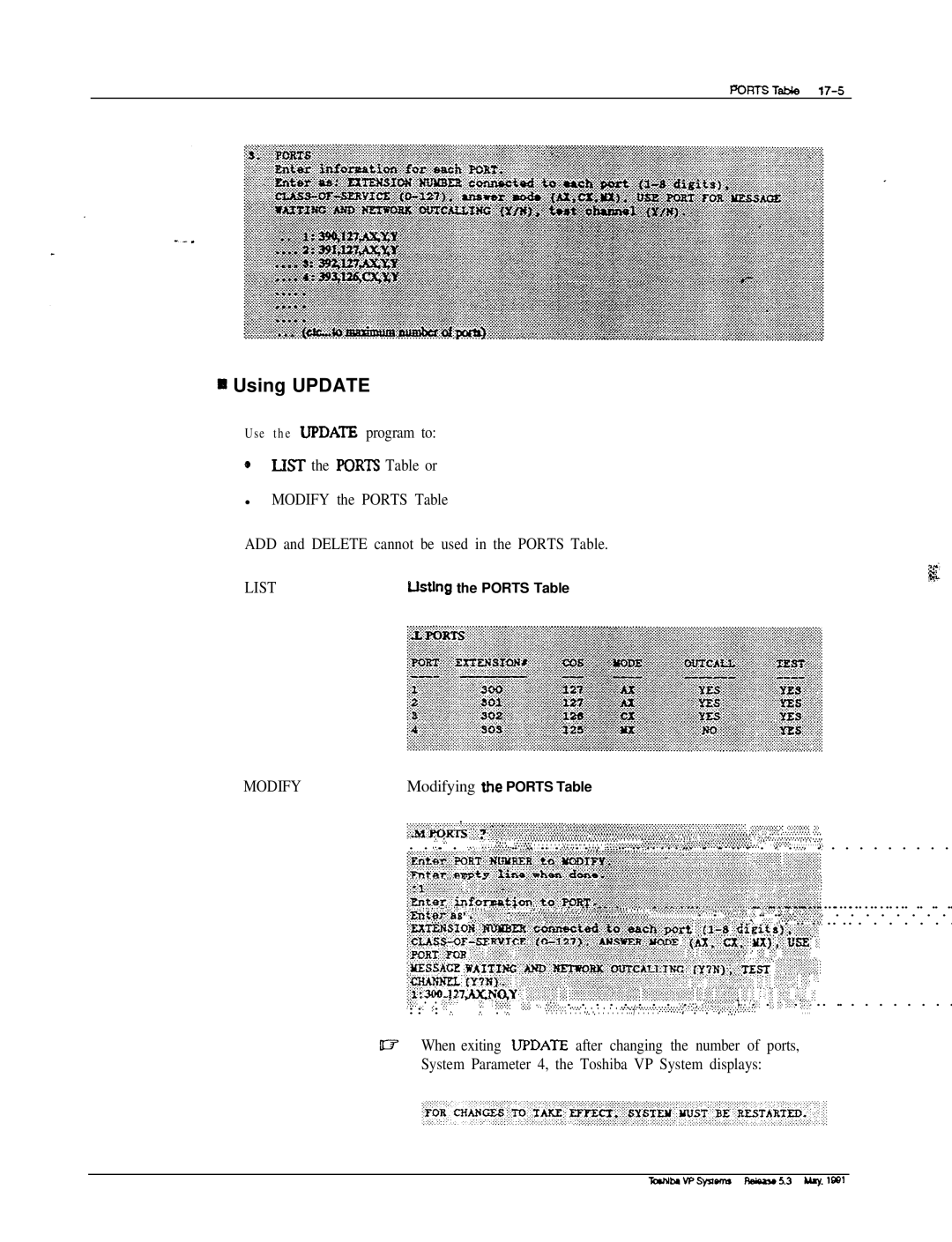 Toshiba VP 300S manual II Using Update 