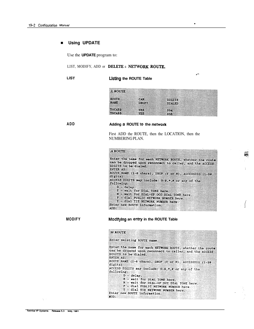 Toshiba VP 300S manual Using Update 