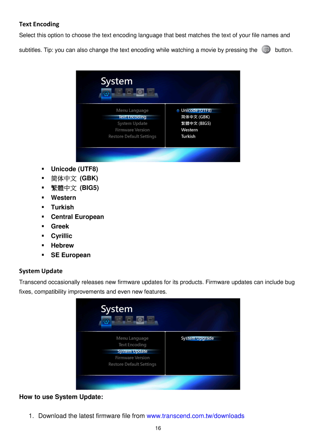 Transcend Information DMP10 user manual Text Encoding, Unicode UTF8, How to use System Update 