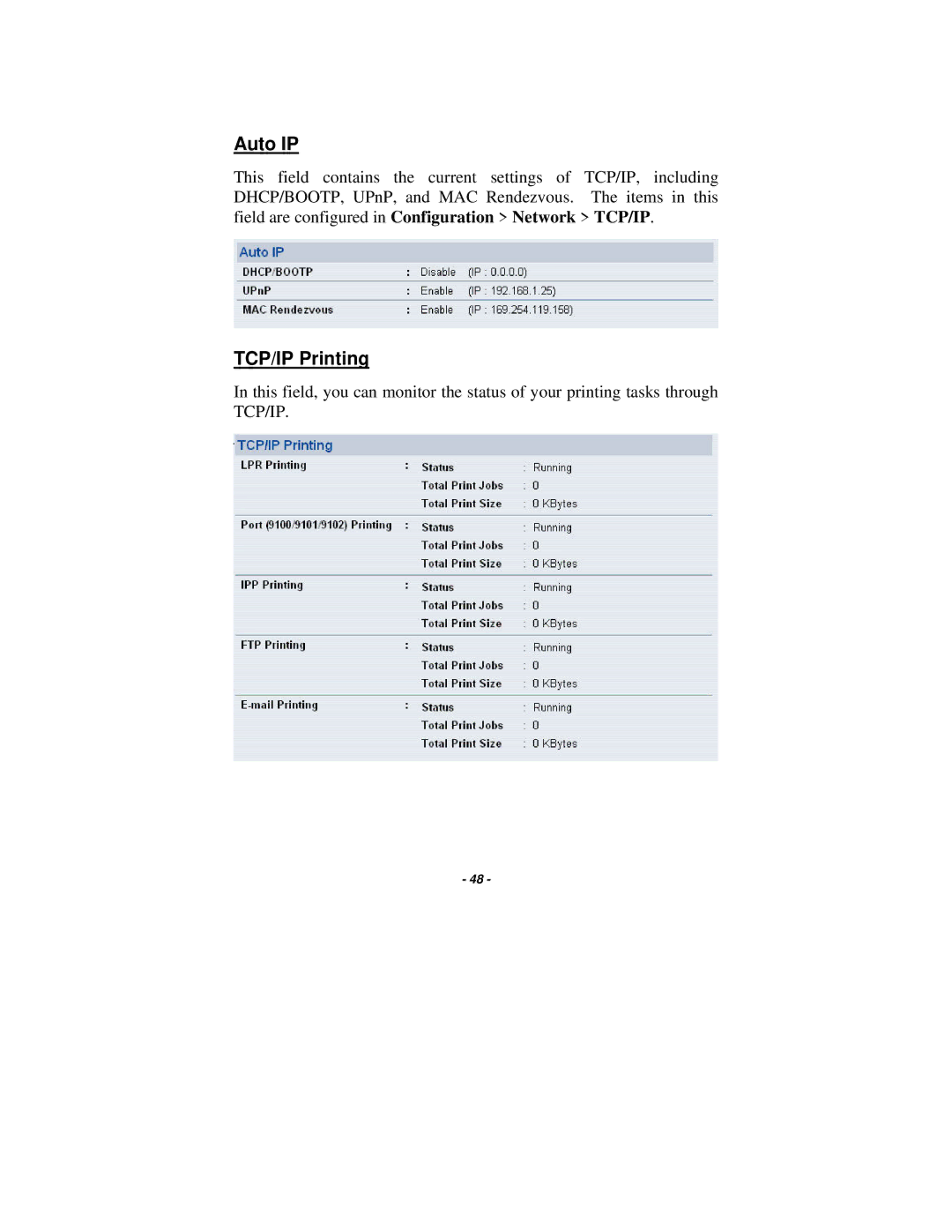 TRENDnet TE100-P21 manual Auto IP, TCP/IP Printing 