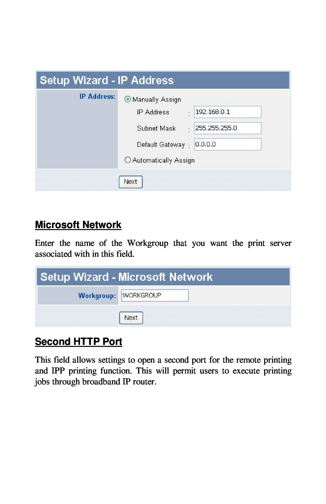 TRENDnet TE100-PIP manual Microsoft Network, Second HTTP Port 