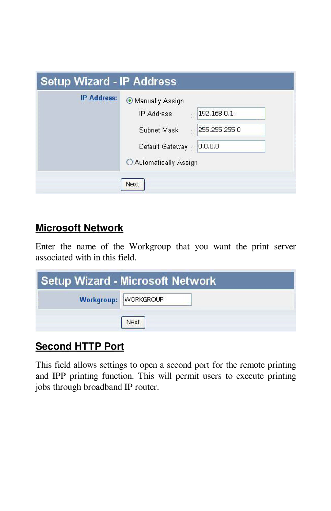 TRENDnet TE100-PIP manual Microsoft Network, Second Http Port 