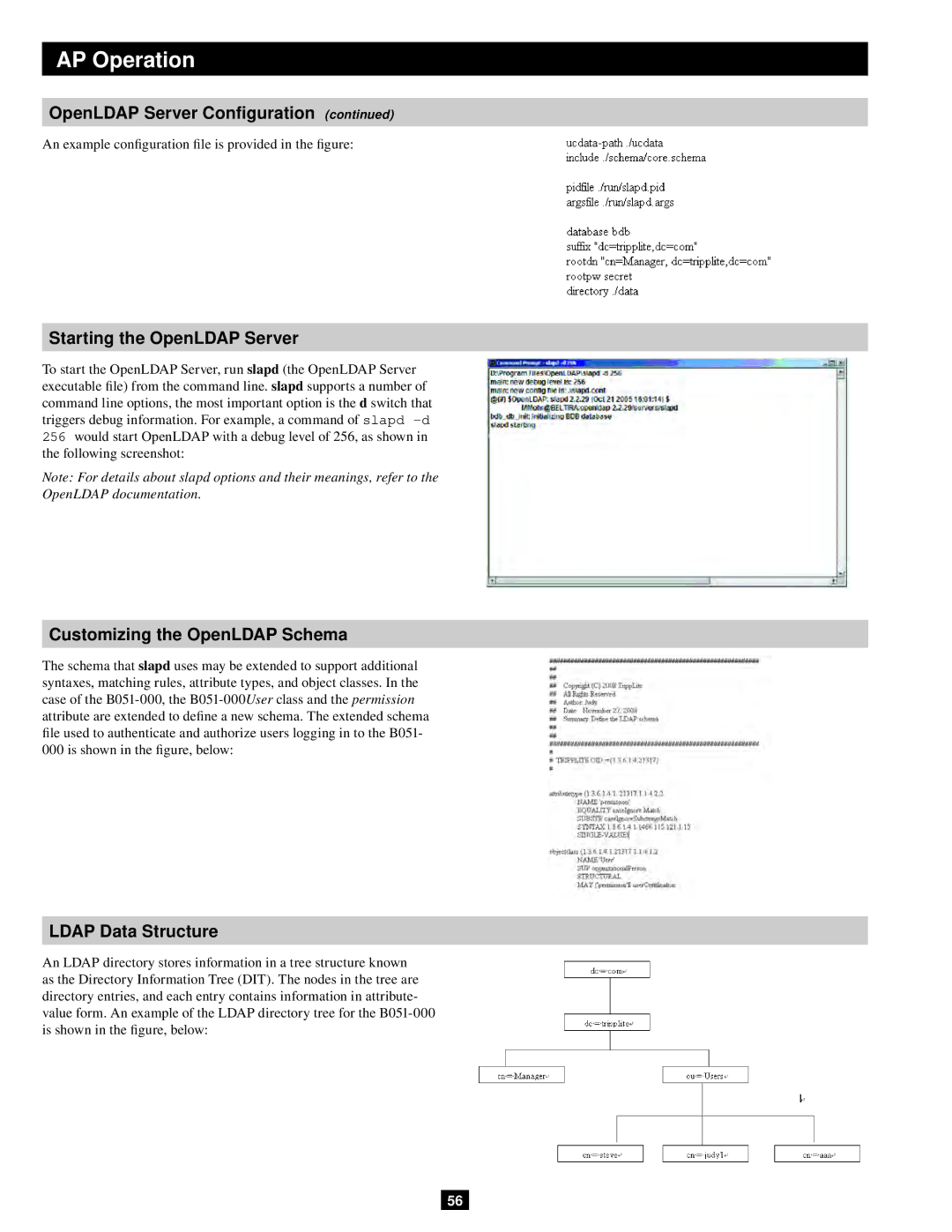 Tripp Lite B051-000 IP owner manual Starting the OpenLDAP Server, Ldap Data Structure 