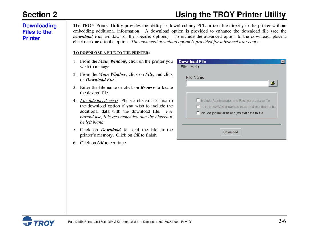 TROY Group 1200, 1320, 2100, 2300, and 9000, 8100, 1300, 2200 manual Downloading Files to the Printer, Download File 