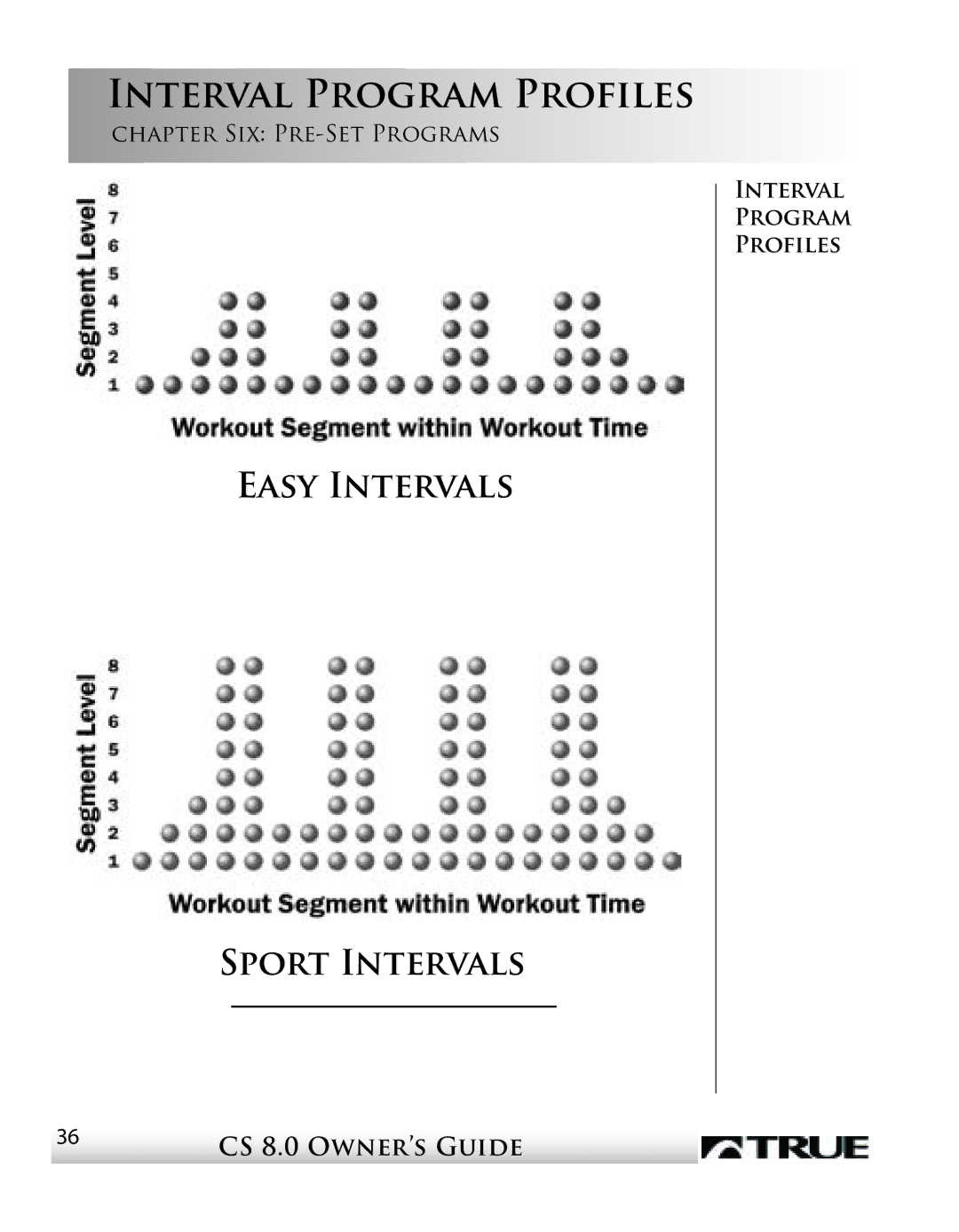 True Fitness CS8 manual Interval Program Profiles, Easy Intervals Sport Intervals 