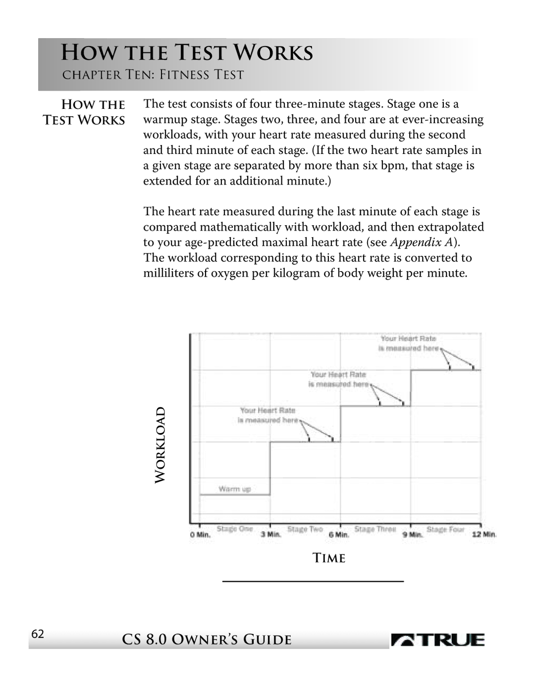 True Fitness CS8 manual How the Test Works 