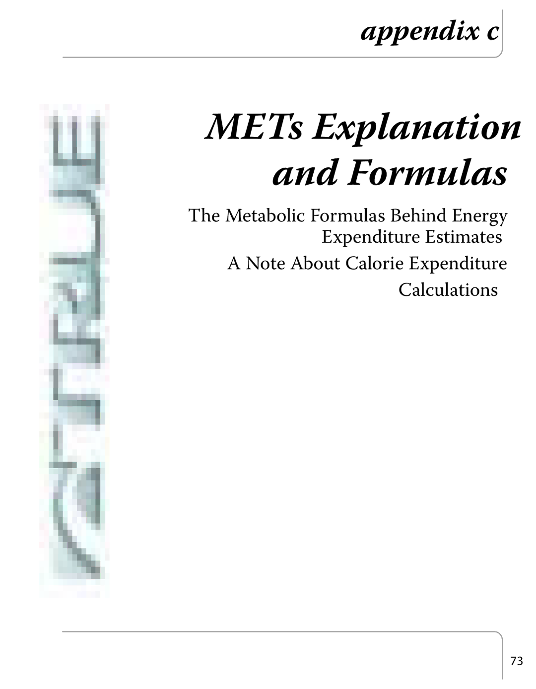 True Fitness Excel Series manual METs Explanation and Formulas 