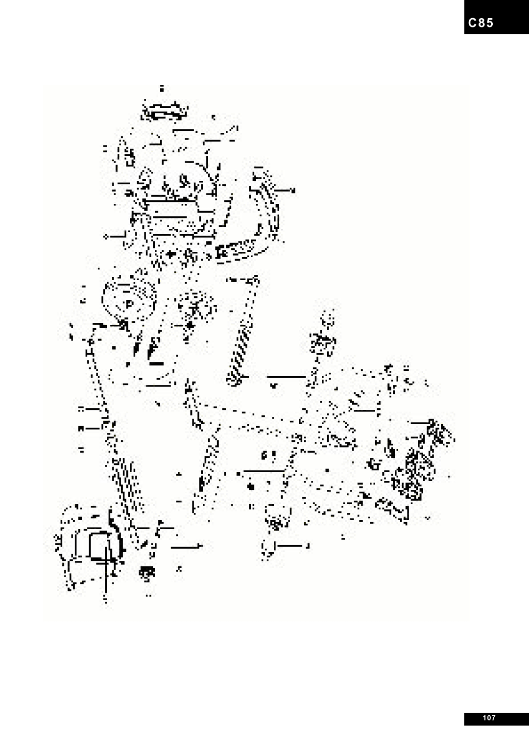 Tunturi C85 owner manual 