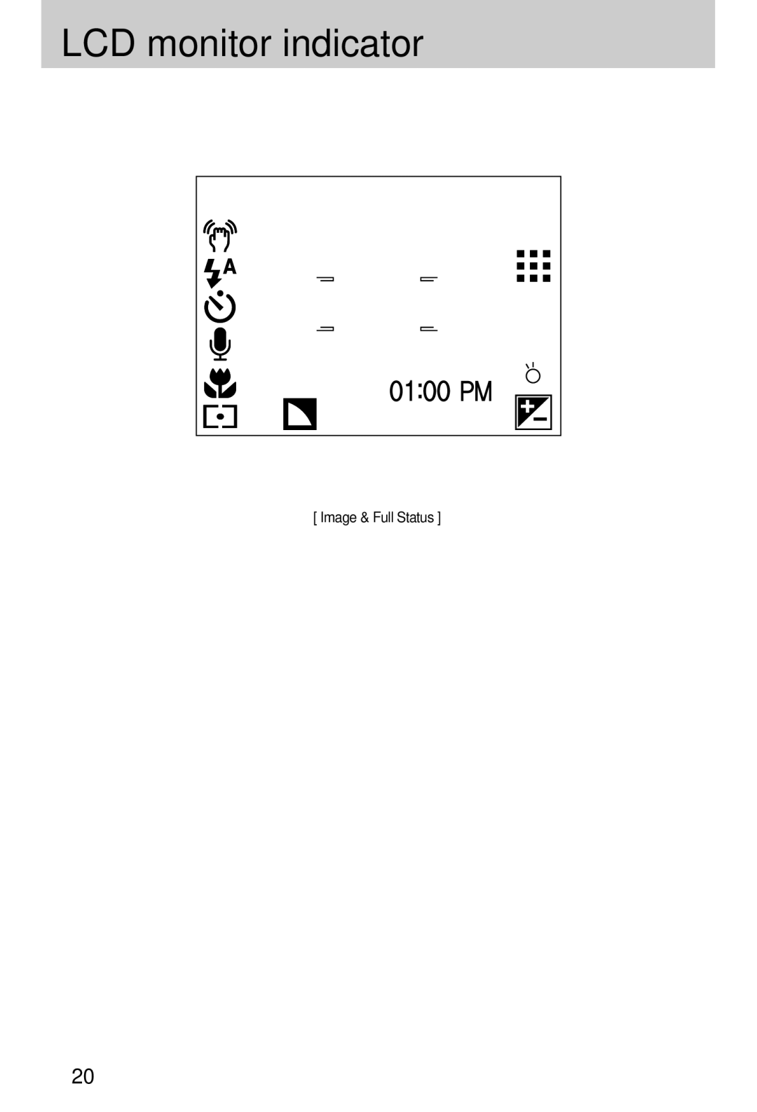 Vanson V-6000 manual LCD monitor indicator, Icons 