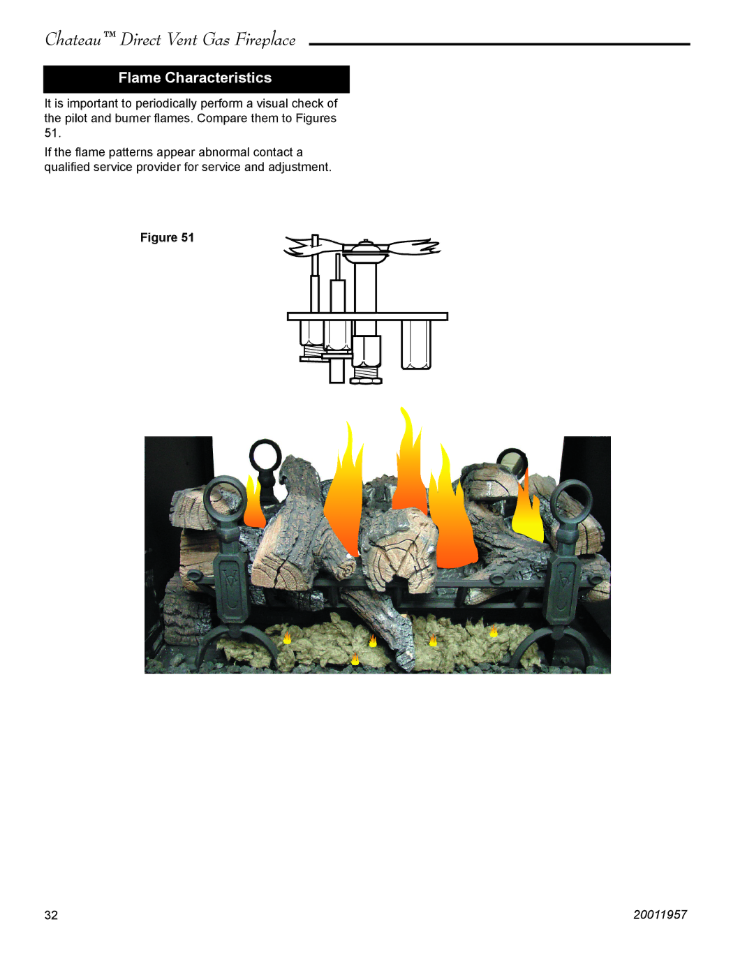 Vermont Casting DVT38S2IN installation instructions Flame Characteristics 