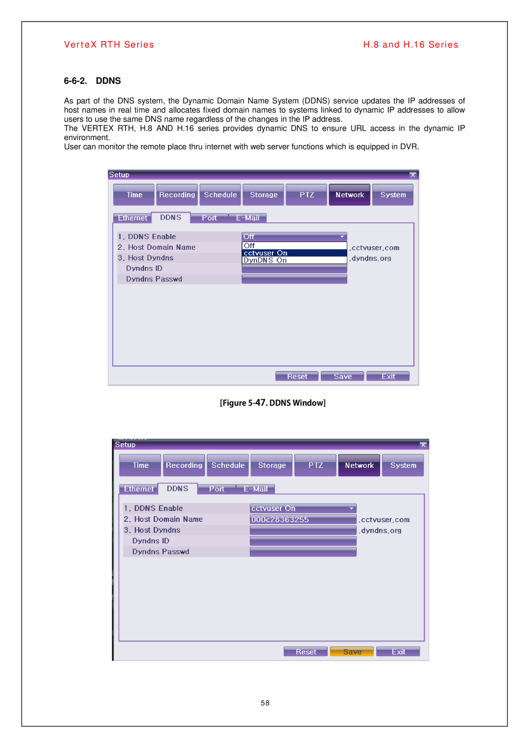 Vertex Standard H.16, H.8 manual Ddns Window 