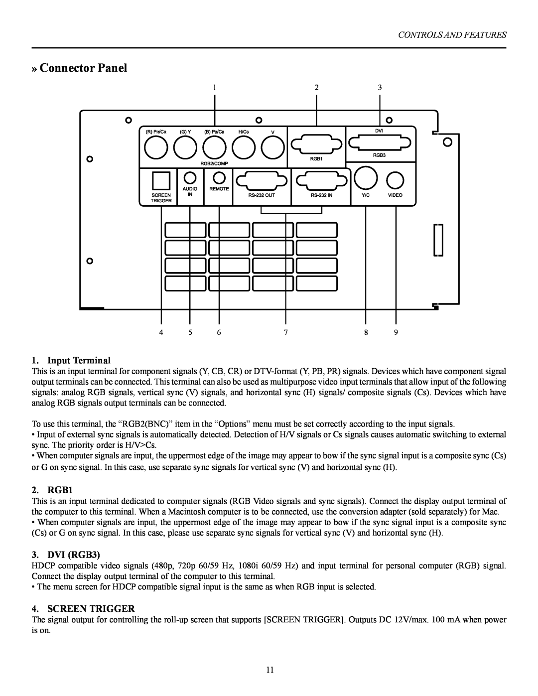 Vidikron 60 manual » Connector Panel, Input Terminal, RGB1, DVI RGB3, Screen Trigger 