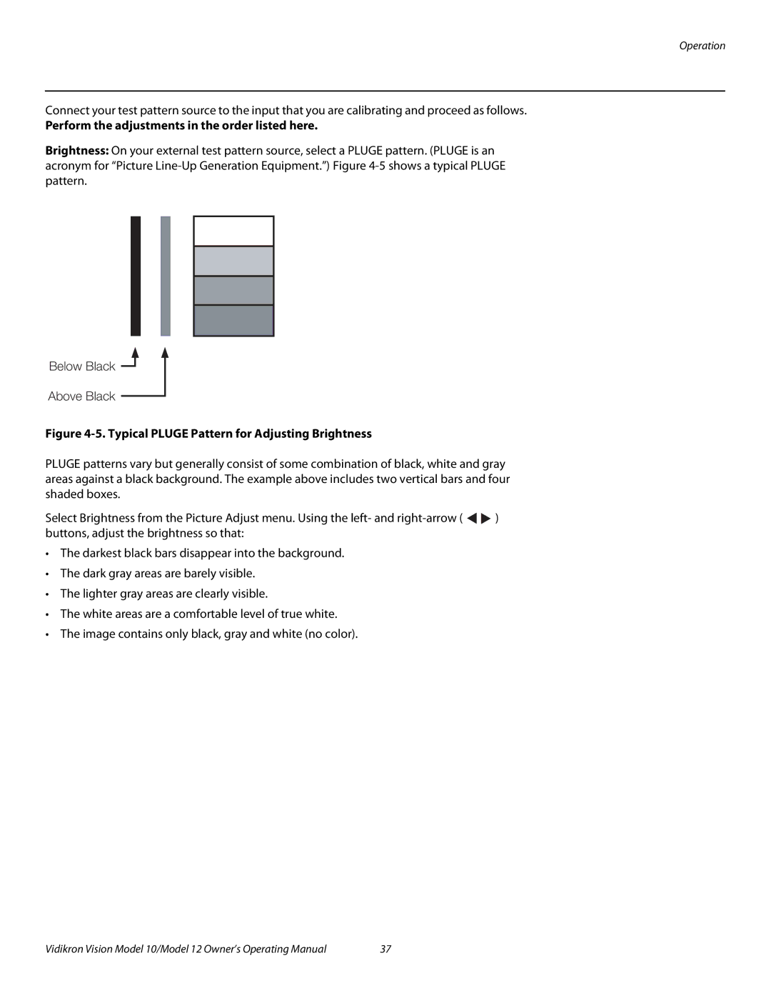 Vidikron Vision 10, Vision 12 manual Typical Pluge Pattern for Adjusting Brightness 