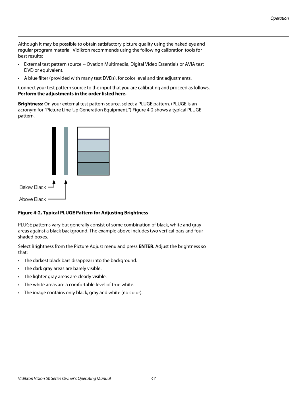 Vidikron Vision 50 manual Perform the adjustments in the order listed here, Typical Pluge Pattern for Adjusting Brightness 
