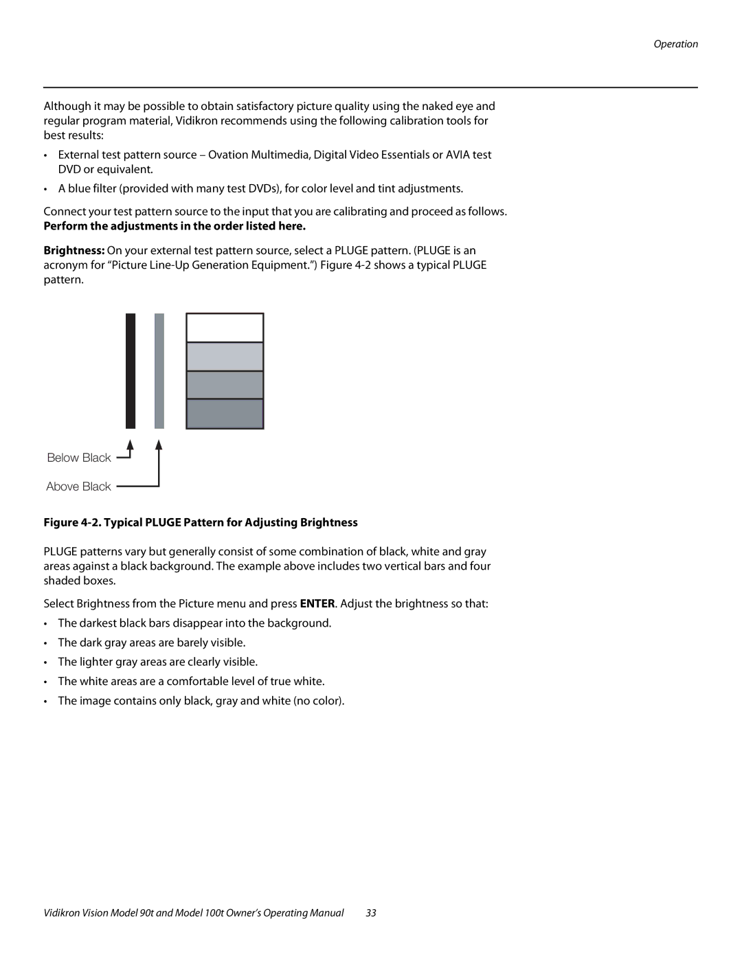 Vidikron Vision 100t Perform the adjustments in the order listed here, Typical Pluge Pattern for Adjusting Brightness 