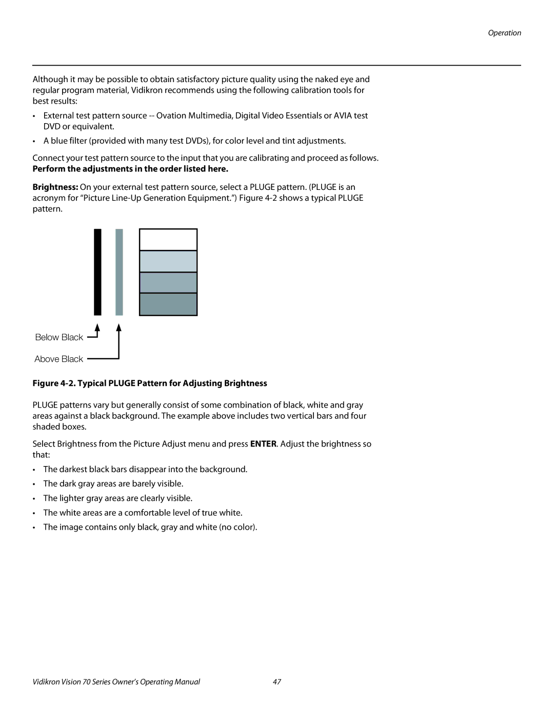 Vidikron vision70 manual Perform the adjustments in the order listed here, Typical Pluge Pattern for Adjusting Brightness 