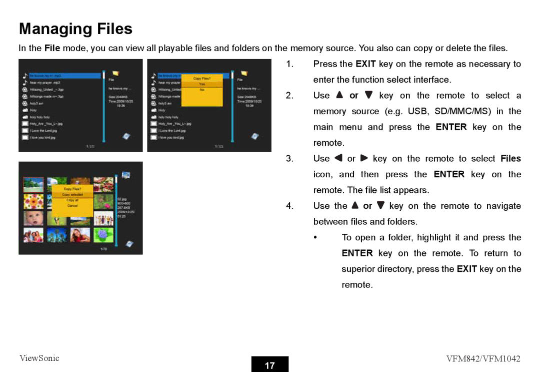 ViewSonic VS13444, VS13442 warranty Managing Files 