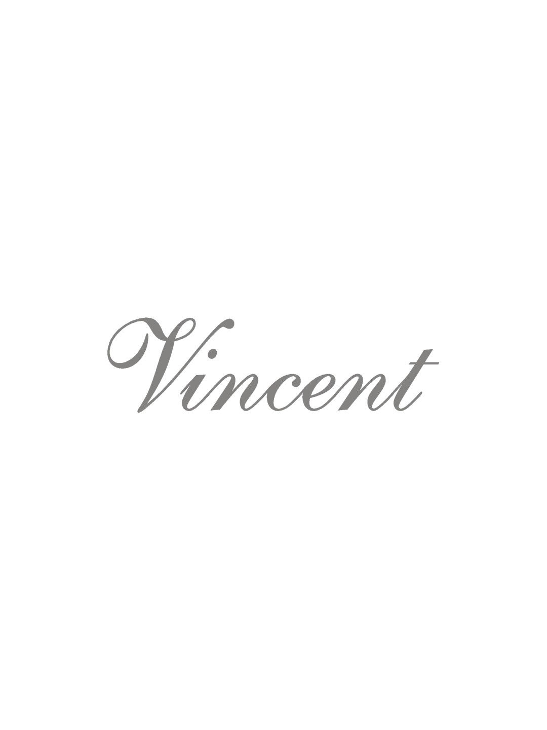 Vincent Audio CD-S6MK operating instructions 